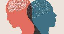 An outline of two overlapping people with the brains visible, one red on the left and blue on the right.