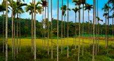 Kerala