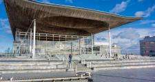 Senedd