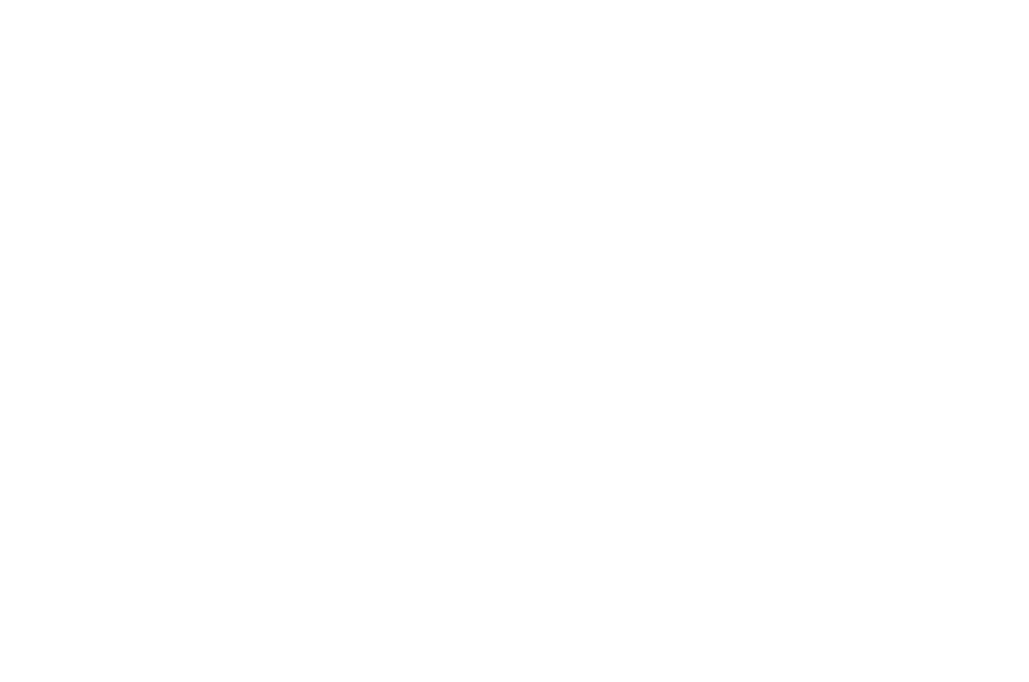 BASW Cymru white logo