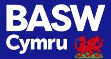 BASW Cymru Dragon