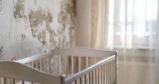damp mould cot