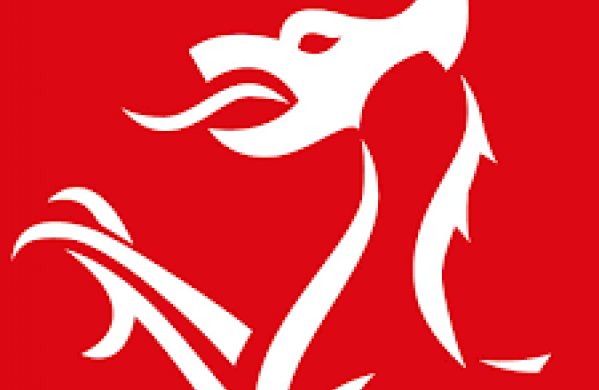 Welsh Government Logo