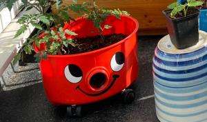 Henry the hoover used as a plant pot